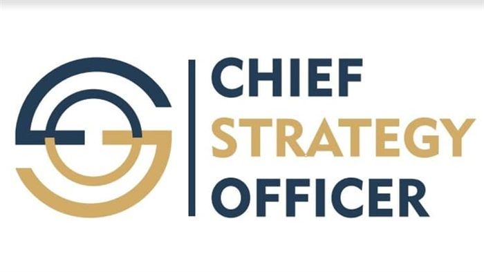 Роль директора по стратегическому управлению в организации