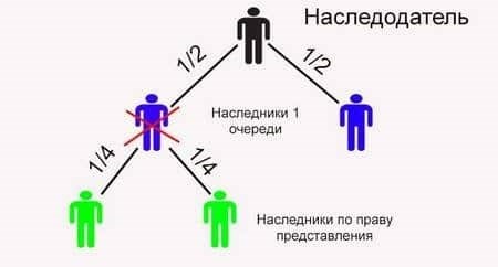 Представление внучки: особенности и юридические принципы