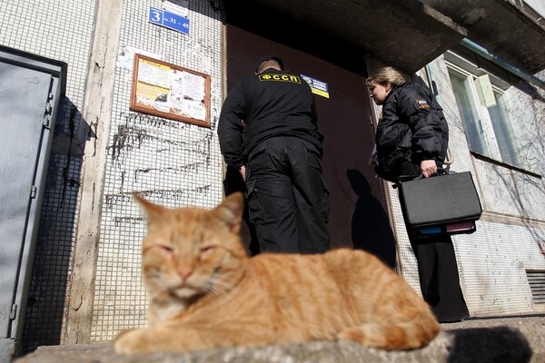 Какие приказы регулируют работу медицинской сестры в городском здравоохранении