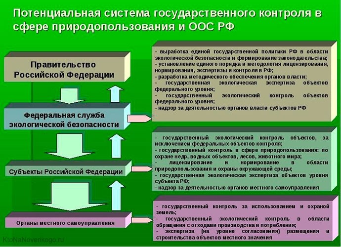 Необходимость охраны природных богатств