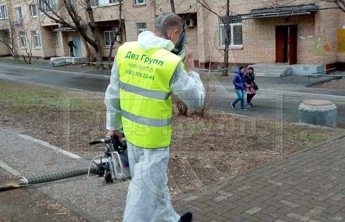 Причины появления грызунов и насекомых в многоквартирных домах