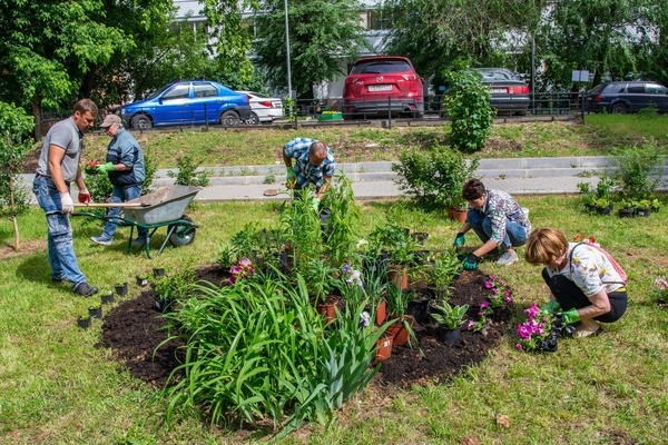 Регламент высадки цветов в клумбы во дворах города Москвы
