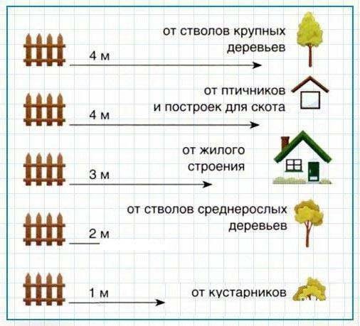 Подготовка почвы: основные этапы и рекомендации