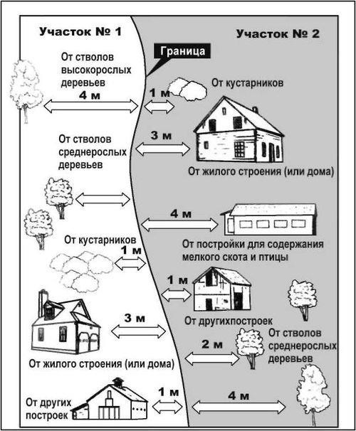 Выбор деревьев для посадки около дома