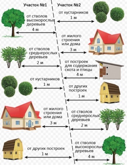 Обзор нормативов по посадке деревьев