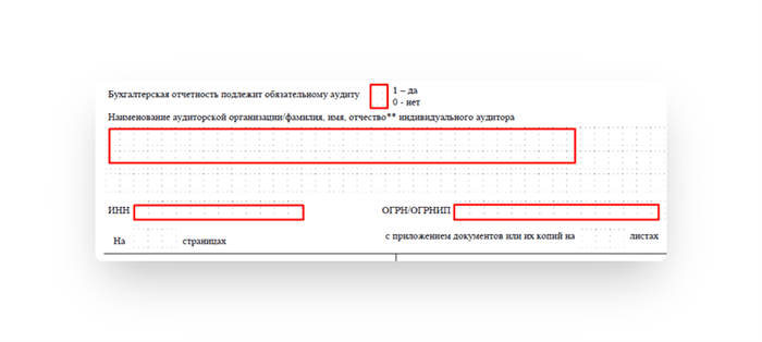 Что такое бухгалтерский баланс и форма 1?