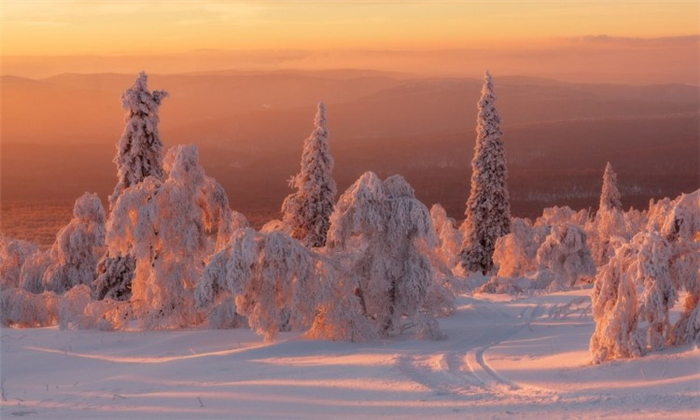 Зима в средней полосе России