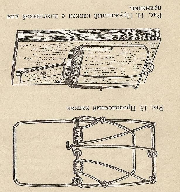 Использование ядохимикатов для дератизации