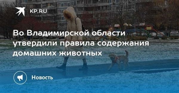 Правила содержания собак в многоквартирном доме