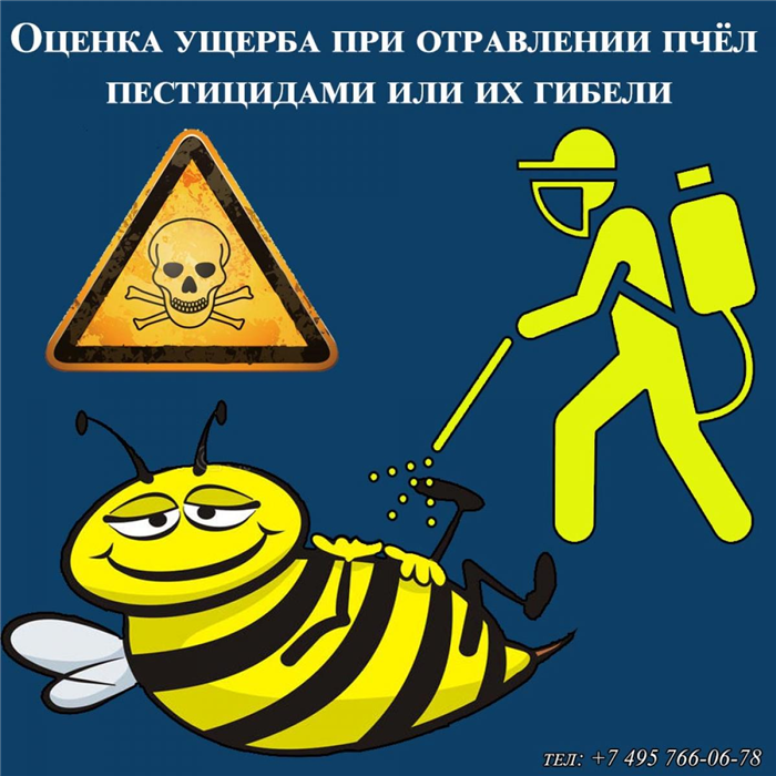 Как проходит судебная экспертиза причин гибели пчел в Москве?