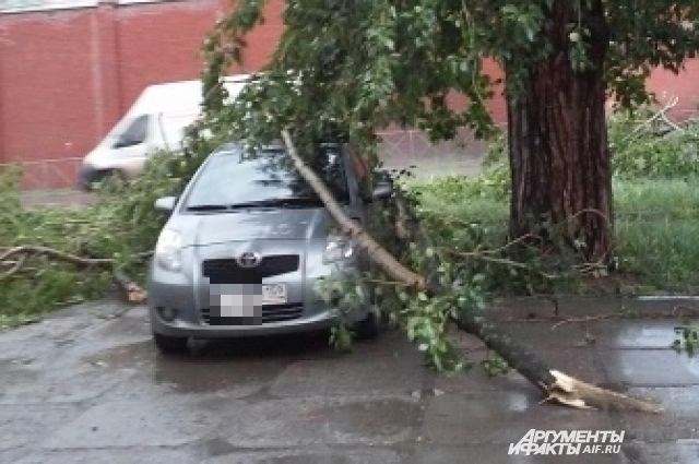 Подготовка к проверке